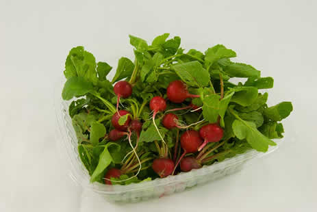 Baby Radishes
