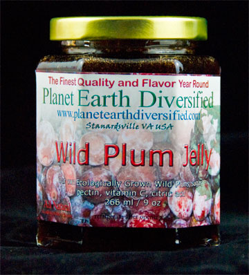 Wild Plum Jelly
