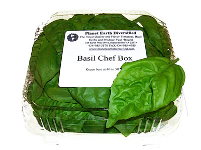 Basil Leaf