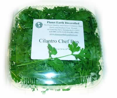 Chef Box Cilantro